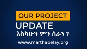 gonder school project update